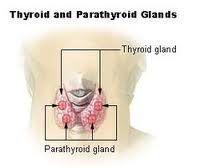 thyroid and parathyroid Surgery