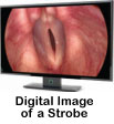 Digital-Image-of-a-Strobe